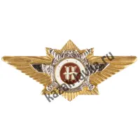 Знак нагрудный уставной "Наставник" Классность офицерская МВД