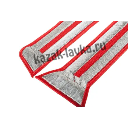 Нашивка на воротник (3-й вар.)_2