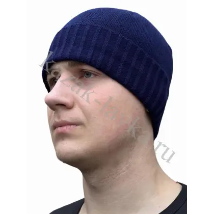 sized_10muzhskaya-shapka-s-otvorotom.1200x1200